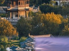 -瑶湖郊野森林公园