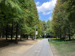 -贵阳市花溪国家城市湿地公园