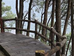 -铁山坪森林公园