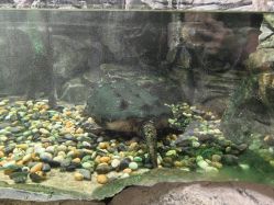 -Zoolung Zoolung动物主题公园(海信广场店)