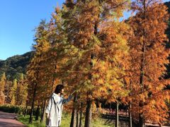 -广州市石门国家森林公园