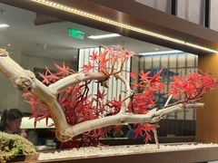 -牛New寿喜烧(新六百店)