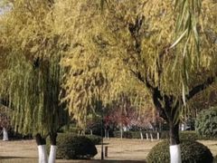 -云龙湖旅游景区