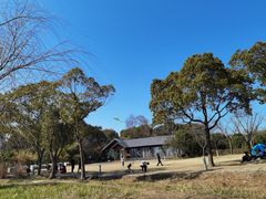 -渤公岛生态公园