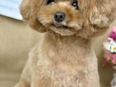 -爱派特动物医院·全科诊疗中心