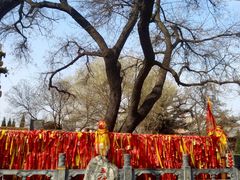 -大槐树寻根祭祖园