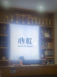 -心联形象设计·流星染