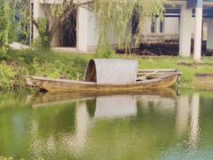 -鄱阳湖国家湿地公园