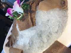 -味舵主不改良老火锅(杨舍老街店)