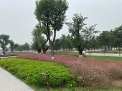 -汉长安城未央宫国家考古遗址公园