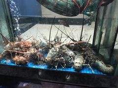 -海都六福酒家(世博广场店)