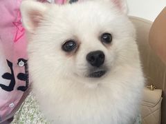 -怪兽屋·羊驼·猫咖·狗咖(俊华广场店)