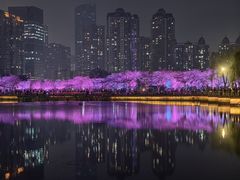 -西北湖绿化广场