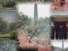 -天台山景区