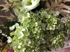 -双季花艺园艺市场(浦东店)