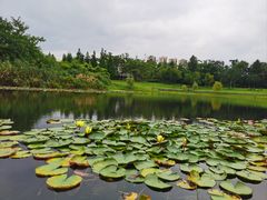 -眉山湿地公园(东坡区)