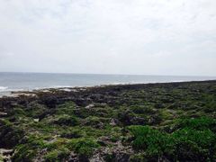 iphone_upload_pic-鹅銮鼻公园