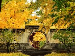-香山公园