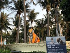 -白沙湾海滩