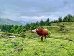 -硗碛藏寨·神木垒景区
