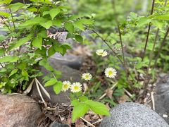 -滨河世纪广场公园