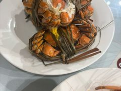 -裕龙汤泉