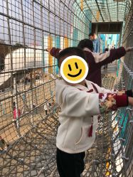 点击看大图 -季高兔窝窝亲子园(上海薰衣草公园店)