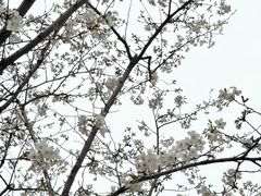 -堤角公园
