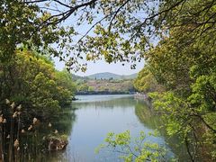 -白马涧龙池景区