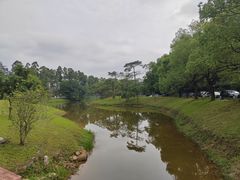 -东莞松山湖凯悦酒店
