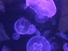 -海合安青岛极地海洋公园