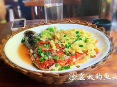 -屯屯面(海尔路店)