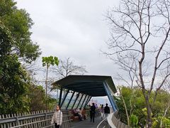 -福道