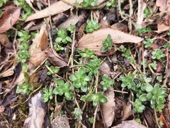 -天台山赤城山景区