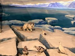 -陕西自然博物馆