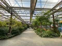 -南宫五洲植物乐园