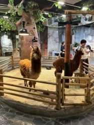 -Zoolung Zoolung动物主题公园(海信广场店)