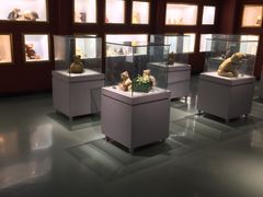 -成都泰迪熊博物馆