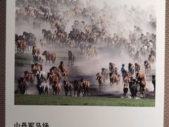 -张掖市博物馆
