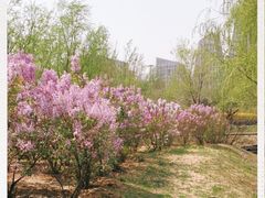 -门城湖公园