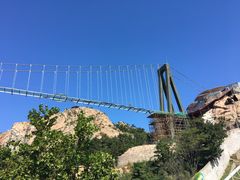 -西霞口神雕山野生动物世界