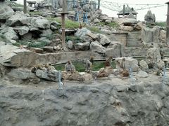 -石家庄市动物园