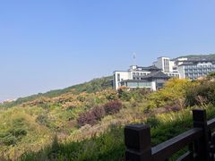 -徂徕山森林康养度假谷温泉