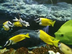 -泉州海丝野生动物世界