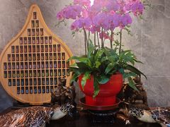 -Angkor SPA 柬埔寨古法按摩(环贸店)