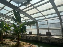 -石家庄市动物园