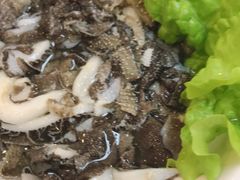 鲜脆毛肚-阳坊胜利涮羊肉(阳坊老店)