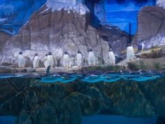 -成都浩海立方海洋公园