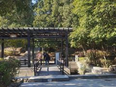 -三江森林温泉度假区