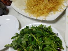 -丁老爷子苏香圆